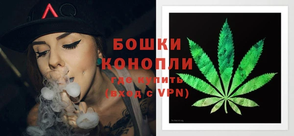 крисы Саяногорск