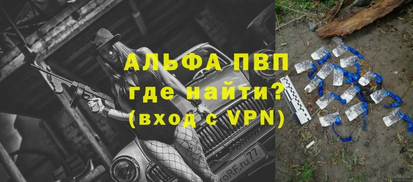 ешки Алексин