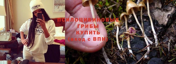 ешки Алексин