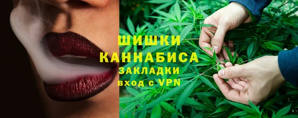 ешки Алексин